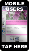 Mobile Site Link